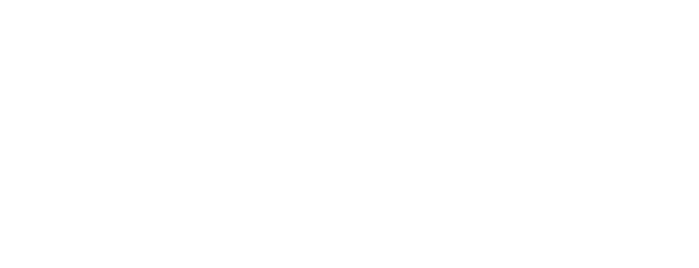 IVAO